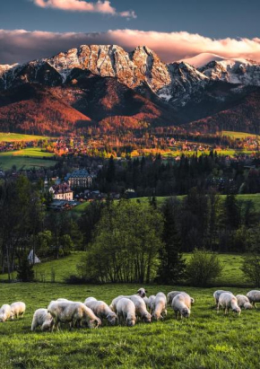 Villa jumper widok na całe Tatry łazienka nie jest w pokoju Zakopane